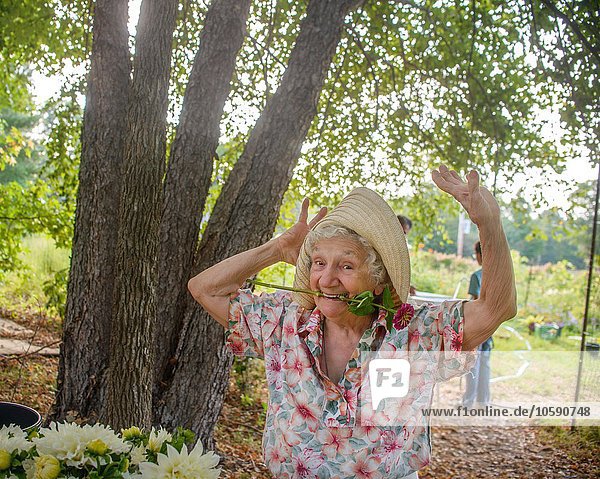 Seniorin mit Blume im Mund tanzt auf dem Bauernhof