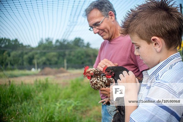 Mature man and boy petting hens on farm