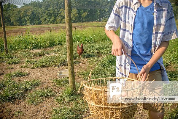 Cropped shot of boy carrying basket of eggs in field