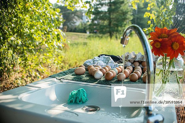 Outdoor farm sink with running water and fresh eggs on drainer