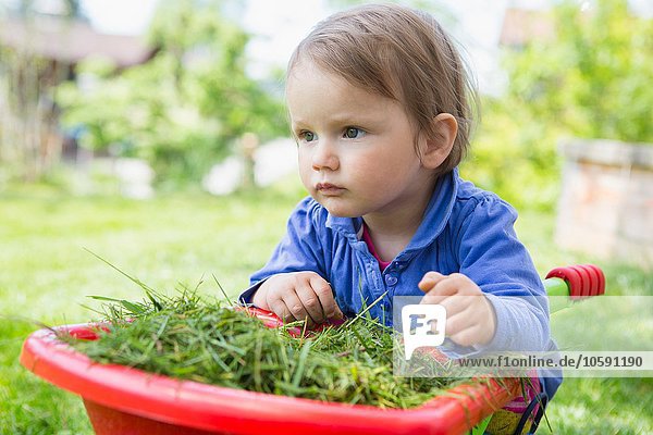 Portrait of cute female toddler leaning on toy wheelbarrow in garden