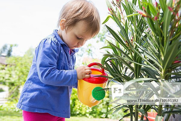 Female toddler watering plants with toy watering can in garden