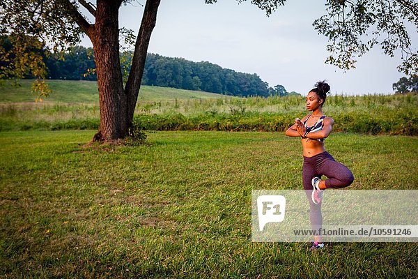 Young woman doing yoga tree pose in rural park