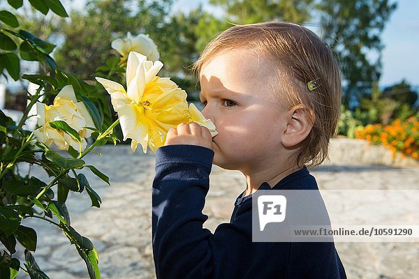 Weibliches Kleinkind riecht gelbe Rose auf der Terrasse
