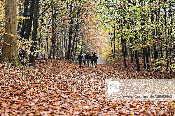 Girls walking in autumn forest
