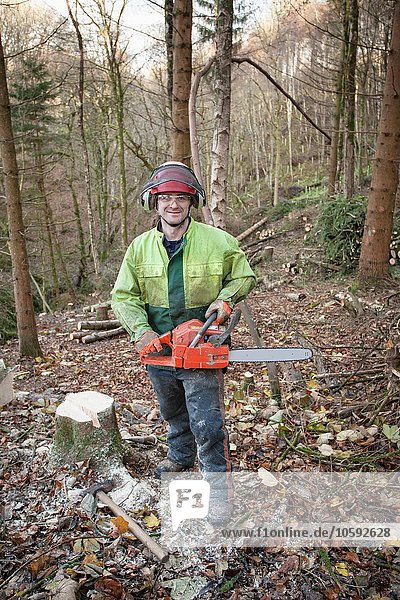 Conservationist working in a reserve to remove non-native conifer trees for natural forest restoration