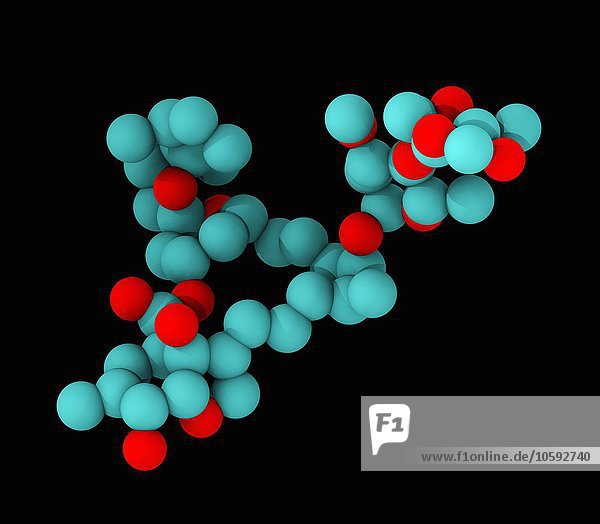 Raumfüllendes molekulares Modell von Ivermectin  dargestellt ohne Wasserstoffatome