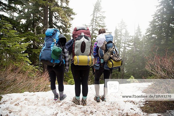 Wanderer  die durch den Wald wandern  Lake Blanco  Washington  USA