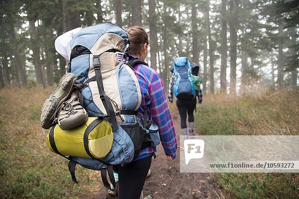 Wanderer  die durch den Wald wandern  Lake Blanco  Washington  USA