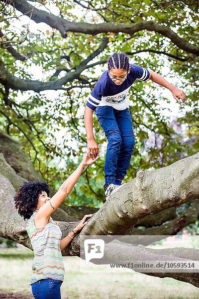 Reife Frau hält Söhne an der Hand und klettert auf den Baumzweig des Parks.