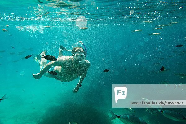 Underwater view of mature man snorkeling  Menorca  Balearic islands  Spain