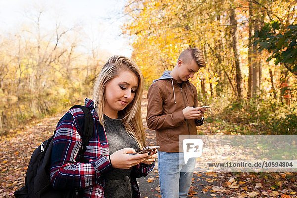 Teenager Junge und erwachsene Schwester beim Lesen von Smartphone-Texten im Herbstwald