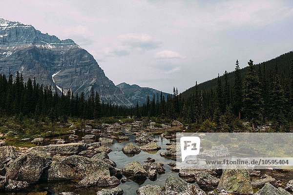 Felsiges Flussbett und Gebirge Moränensee Banff Nationalpark Alberta Kanada