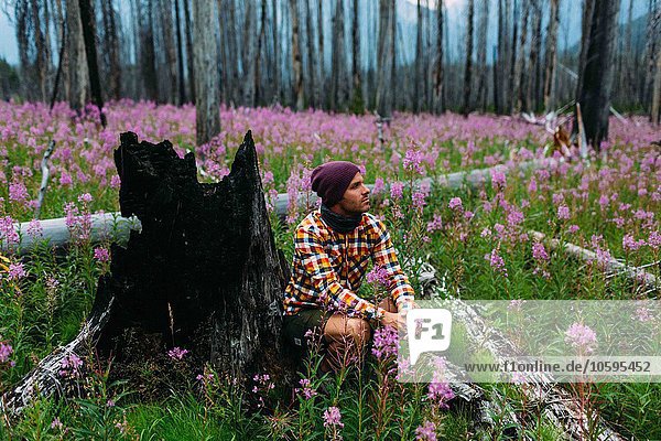 Mittlerer erwachsener Mann am verbrannten Baumstumpf im Feld der Wildblumen  Moränensee  Banff Nationalpark  Alberta Canada