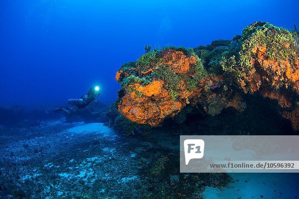 Unterwasseransicht eines Tauchers  der das bunte Riff erkundet  Arrowsmith Banks  Cancun  Mexico