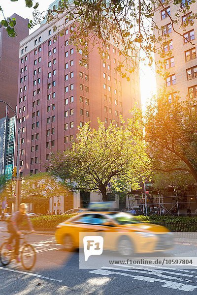 Gelbes Taxi und Radfahrer unterwegs in der Park Avenue  New York  USA
