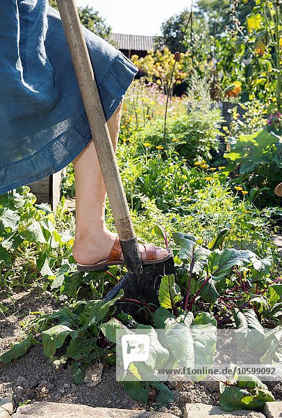 Reife Frau im Garten Graben mit dem Spaten niedrige Sektion
