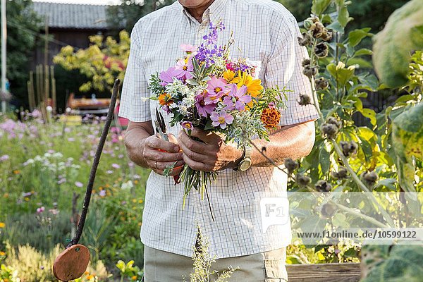 Senior Mann im Garten  hält einen Strauß frischer Schnittblumen  Mittelteil