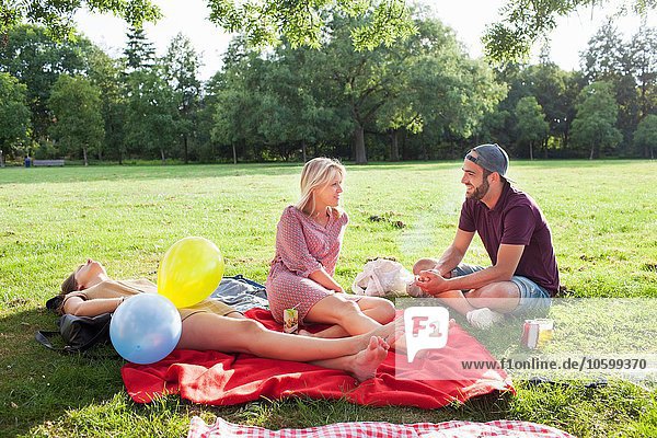 Junger Mann und Frau beim Plaudern auf Picknickdecke auf der Parkparty