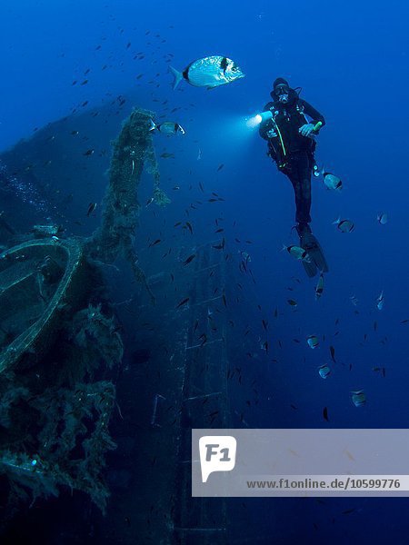 Full length front underwater view of diver investigating MS Zenobia shipwreck  Larnaca  Cyprus