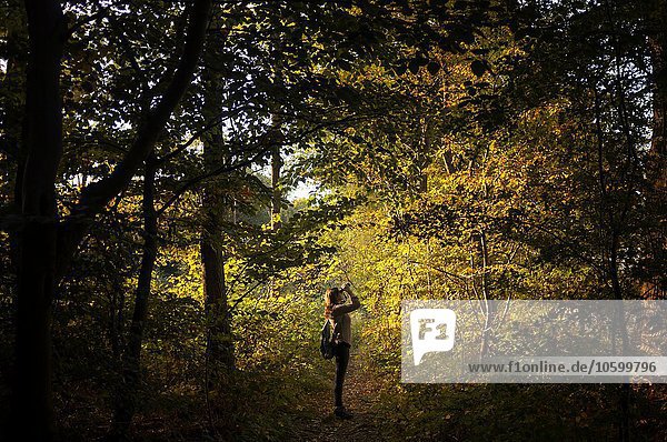 Seitenansicht der jungen Frau im Wald mit dem Fernglas  Worcestershire  UK