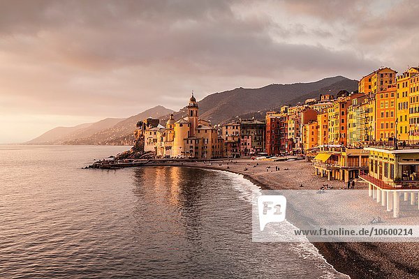 Elevated view of beach and hotels  Camogli  Liguria  Italy