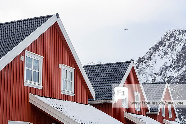 Detail von drei Häusern und schneebedeckten Bergen  Svolvaer  Lofoten  Norwegen