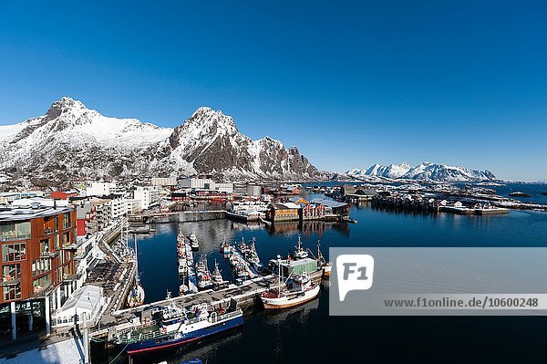 Erhöhte Aussicht auf Hafen und schneebedeckte Berge  Svolvaer  Lofoten  Norwegen