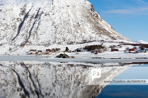 Schneebedeckter Berg im Wasser  Knutstad  Lofoten  Norwegen