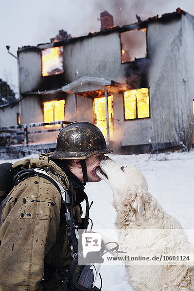 Feuerwehrmann mit gerettetem Hund vor einem brennenden Haus
