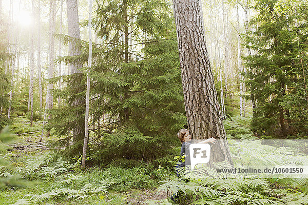 Junge umarmt Baumstamm im Wald
