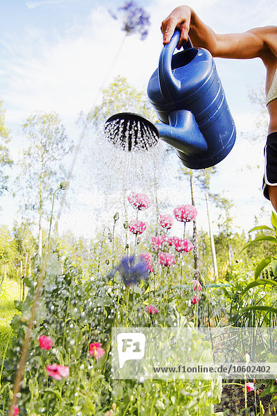 Woman watering flowers in garden  Norrbotten  Sweden