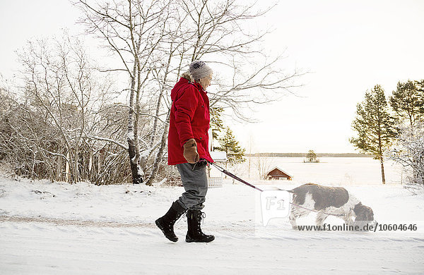 Ältere Frau geht mit Hund spazieren