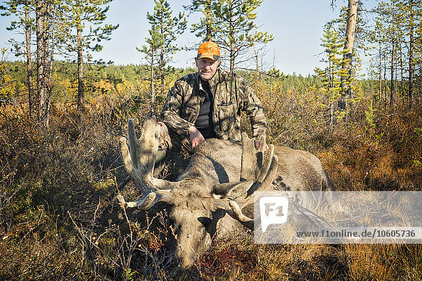 Hunter with dead elk