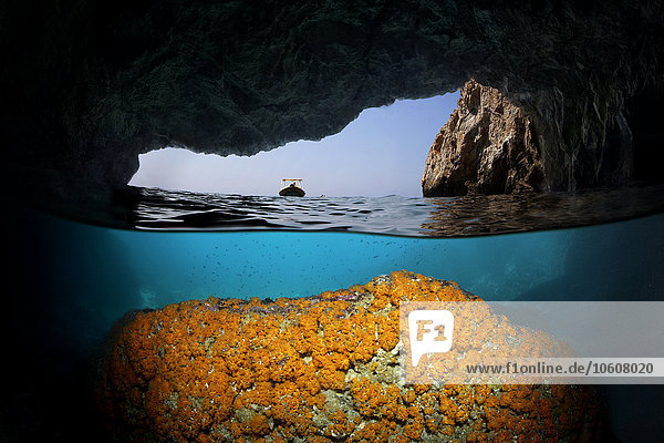 Höhle mit Korallen am Felsen  Paraje Natural Acantilados de Maro-Cerro Gordo  Andalusien  Spanien  Europa