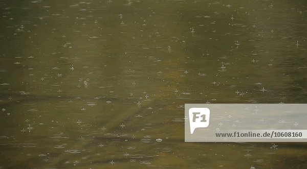 Regentropfen auf der Oberfläche eines Sees  Nahaufnahme
