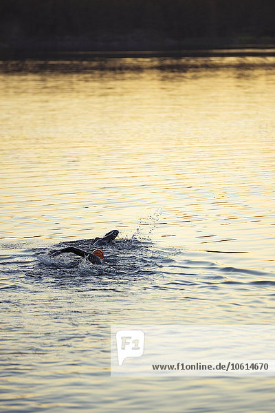 Person beim Schwimmen im Sonnenuntergang