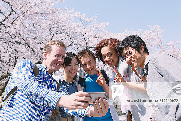 Multi-ethnic group of friends enjoying cherry blossoms blooming in Tokyo