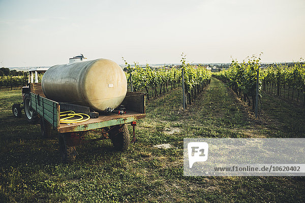 Österreich  Weinviertel  Traktor mit Pestizidtank am Weinberg