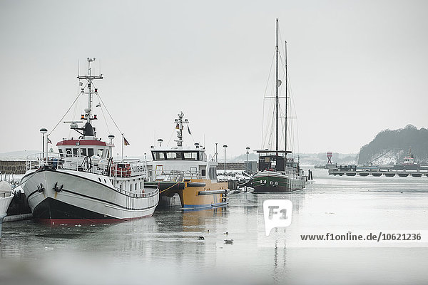 Deutschland Sassnitz Fischerboote im Hafen im Winter