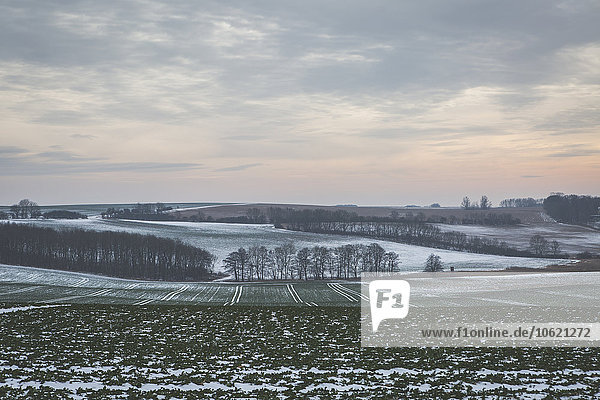 Deutschland  Mecklenburg-Vorpommern  Rügen  Felder im Winter