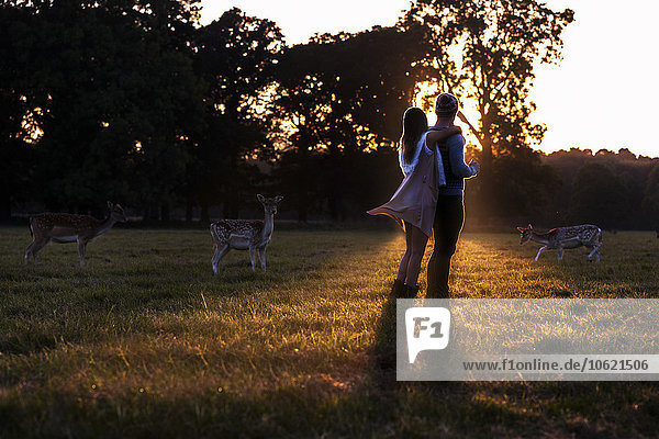 Paar umarmt mit Hirschen auf einer Wiese bei Sonnenuntergang