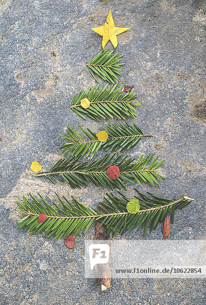 Tannenzweigstücke  Blätter und Rinde bilden die Form eines Weihnachtsbaumes