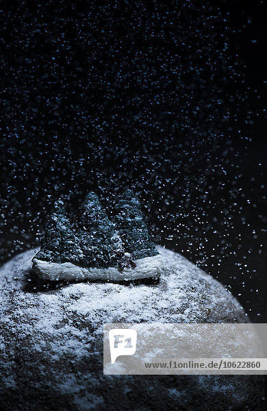 Miniatur-Tannen im Schnee vor dunklem Hintergrund