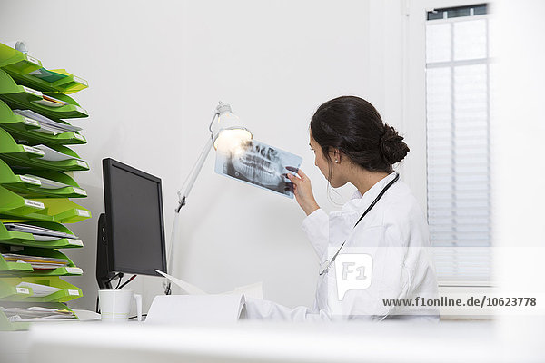 Dentist examining x-ray image