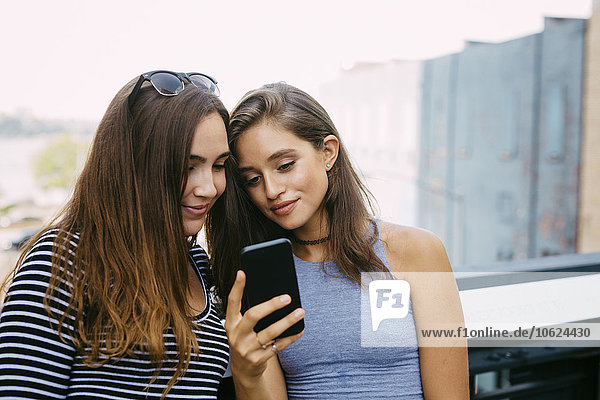 USA  New York City  zwei Freunde beim Blick aufs Handy