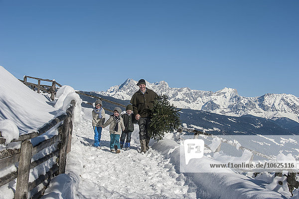 Österreich  Altenmarkt-Zauchensee  Vater mit Kindern mit Weihnachtsbaum in Winterlandschaft