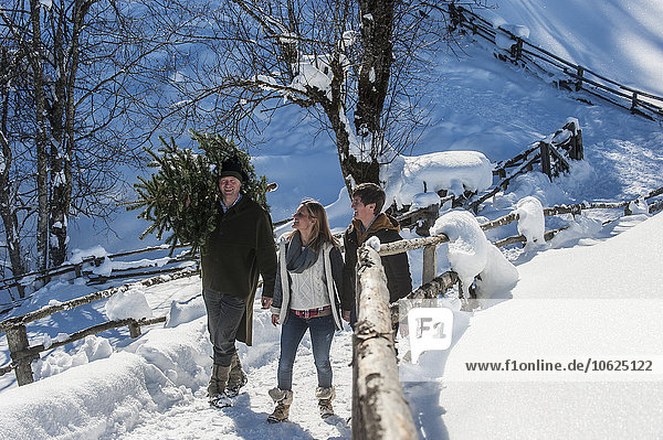 Austria  Altenmarkt-Zauchensee  man with couple carrying Christmas tree in winter landscape