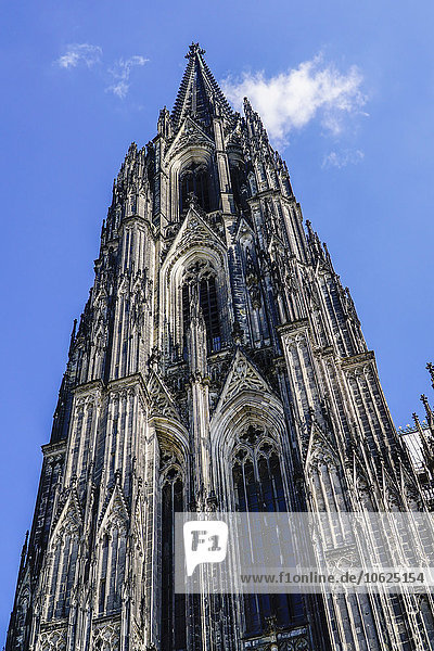 Deutschland  Köln  Blick zum Turm des Kölner Doms von unten