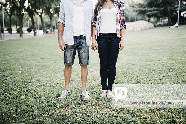 Verliebtes junges Paar  das auf einer Wiese in einem Park steht und Händchen hält.